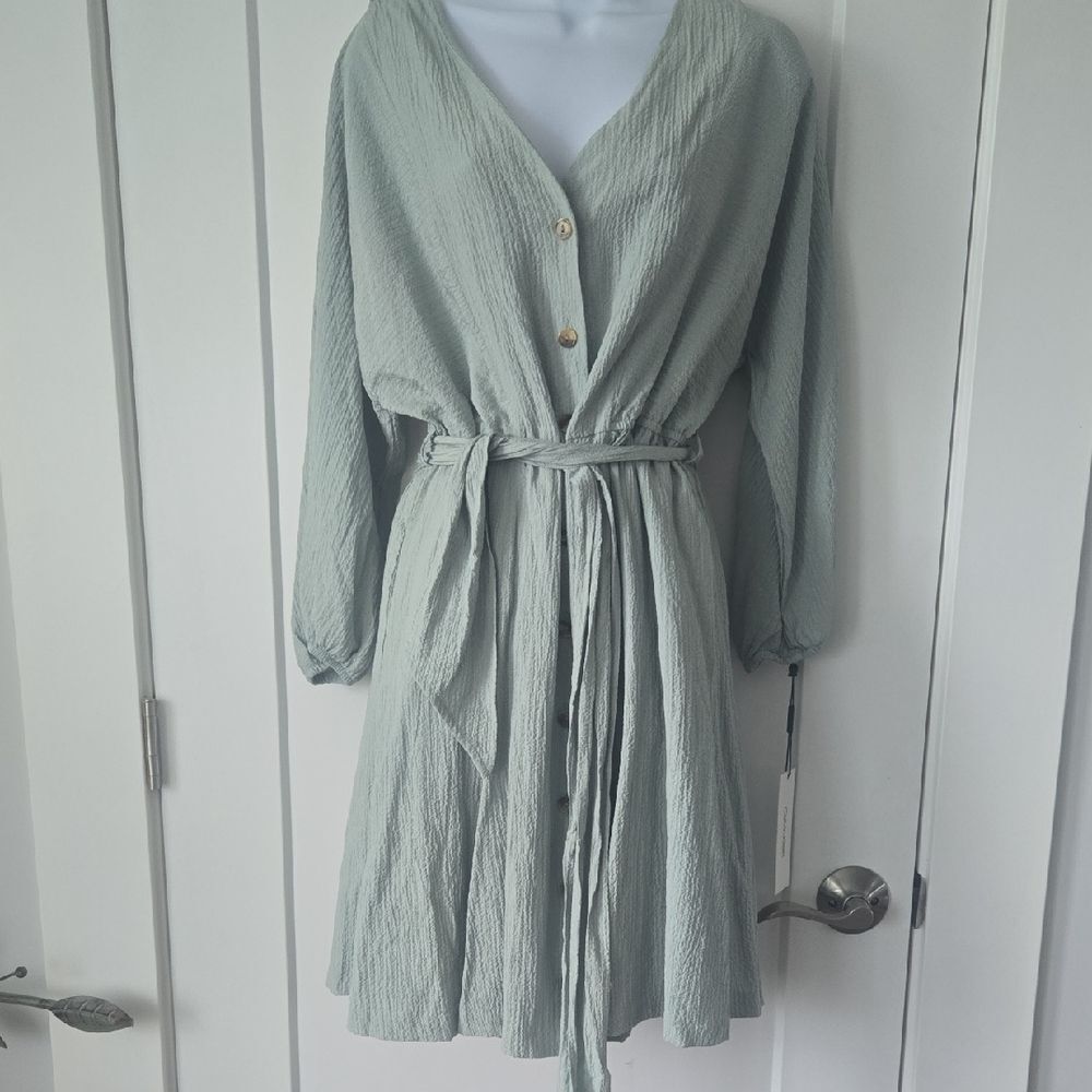 Calvin Klein Light Green Button-Down Dress